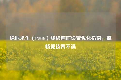 绝地求生（PUBG）终极画面设置优化指南，流畅竞技两不误