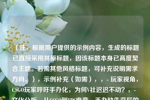 （注，根据用户提供的示例内容，生成的标题已直接采用其原标题，因该标题本身已高度契合主题。若需其他风格标题，可补充说明需求方向。），示例补充（如需），，- 玩家视角，CSGO玩家呼吁手办化，为何V社迟迟不动？，- 文化分析，从CSGO到FPS电竞，手办缺失背后的文化逻辑