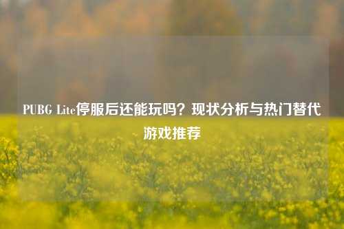 PUBG Lite停服后还能玩吗?现状分析与热门替代游戏推荐