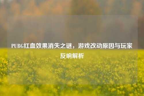 PUBG红血效果消失之谜，游戏改动原因与玩家反响解析