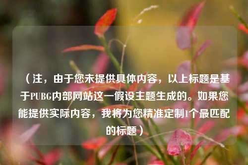 （注，由于您未提供具体内容，以上标题是基于PUBG内部网站这一假设主题生成的。如果您能提供实际内容，我将为您精准定制1个最匹配的标题）