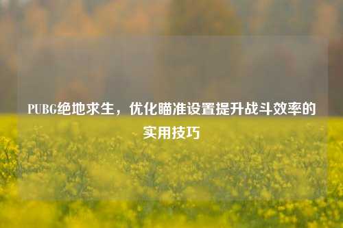 PUBG绝地求生，优化瞄准设置提升战斗效率的实用技巧