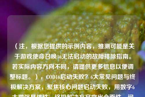 (注,根据您提供的示例内容,推测可能是关于游戏使命召唤16无法启动的故障排除指南。若实际内容方向不同,请提供更多信息以便调整标题。),COD16启动失败?6大常见问题与终极解决方案,聚焦核心问题启动失败,用数字6大增强具体性,终极解决方案突出全面性,问号句式引发玩家共鸣。可根据实际内容调整问题数量和修饰词。)