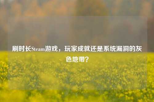 刷时长Steam游戏，玩家成就还是系统漏洞的灰色地带？