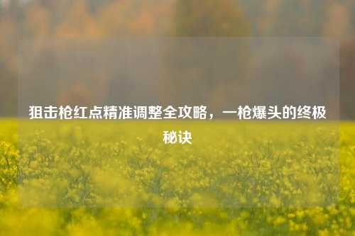 狙击枪红点精准调整全攻略,一枪爆头的终极秘诀