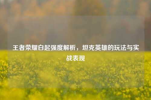 王者荣耀白起强度解析，坦克英雄的玩法与实战表现