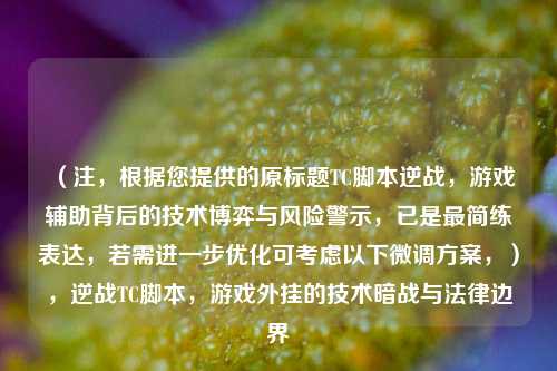（注，根据您提供的原标题TC脚本逆战，游戏辅助背后的技术博弈与风险警示，已是最简练表达，若需进一步优化可考虑以下微调方案，），逆战TC脚本，游戏外挂的技术暗战与法律边界