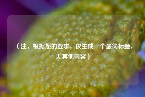 （注，根据您的要求，仅生成一个最简标题，无其他内容）