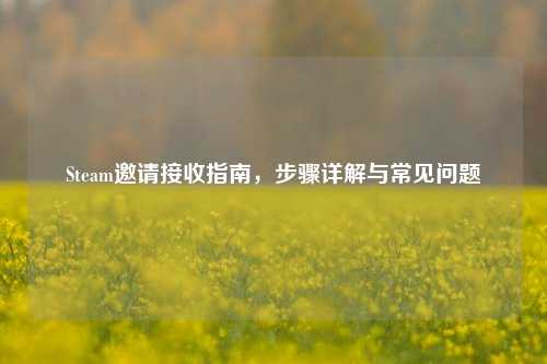 Steam邀请接收指南，步骤详解与常见问题