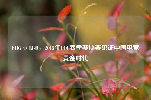 EDG vs LGD，2015年LOL春季赛决赛见证中国电竞黄金时代