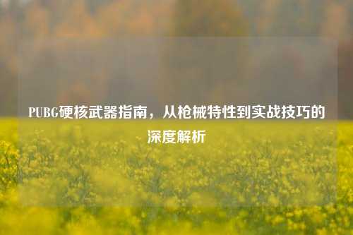 PUBG硬核武器指南，从枪械特性到实战技巧的深度解析