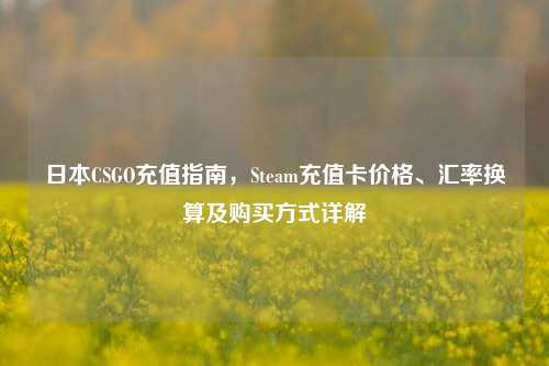 日本CSGO充值指南，Steam充值卡价格、汇率换算及购买方式详解