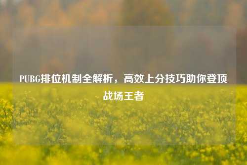 PUBG排位机制全解析，高效上分技巧助你登顶战场王者