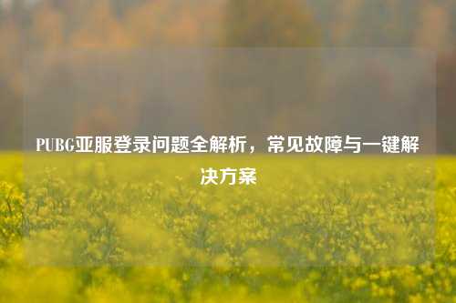 PUBG亚服登录问题全解析，常见故障与一键解决方案