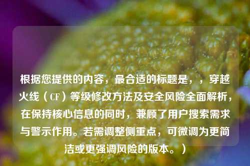 根据您提供的内容，最合适的标题是，，穿越火线（CF）等级修改方法及安全风险全面解析，在保持核心信息的同时，兼顾了用户搜索需求与警示作用。若需调整侧重点，可微调为更简洁或更强调风险的版本。）
