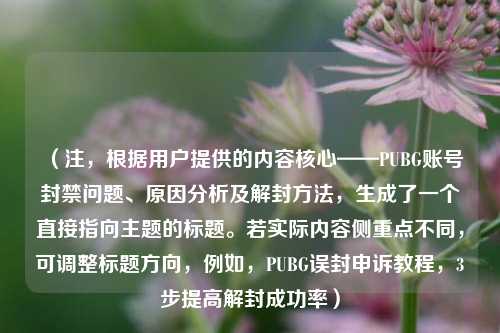 （注，根据用户提供的内容核心——PUBG账号封禁问题、原因分析及解封方法，生成了一个直接指向主题的标题。若实际内容侧重点不同，可调整标题方向，例如，PUBG误封申诉教程，3步提高解封成功率）