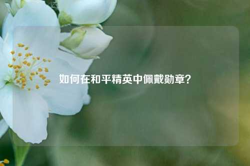如何在和平精英中佩戴勋章？