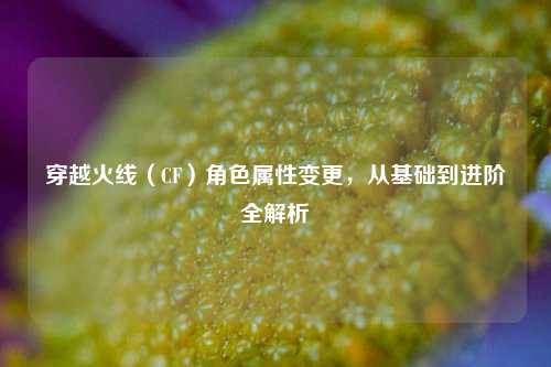 穿越火线（CF）角色属性变更，从基础到进阶全解析