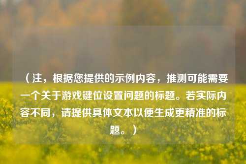 （注，根据您提供的示例内容，推测可能需要一个关于游戏键位设置问题的标题。若实际内容不同，请提供具体文本以便生成更精准的标题。）