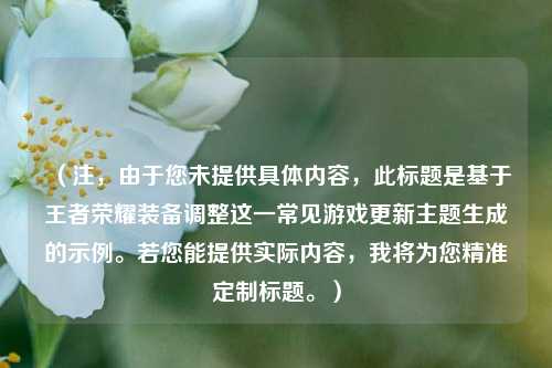 (注,由于您未提供具体内容,此标题是基于王者荣耀装备调整这一常见游戏更新主题生成的示例。若您能提供实际内容,我将为您精准定制标题。)