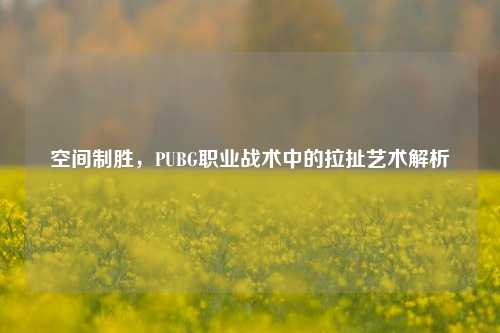 空间制胜，PUBG职业战术中的拉扯艺术解析