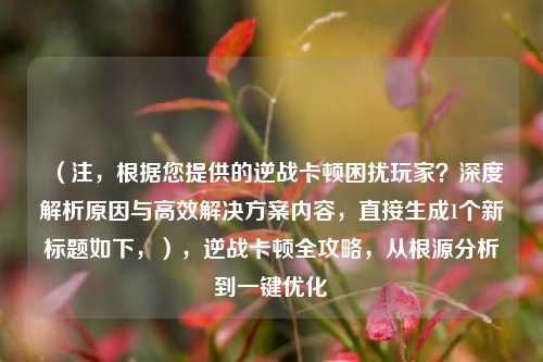 （注，根据您提供的逆战卡顿困扰玩家？深度解析原因与高效解决方案内容，直接生成1个新标题如下，），逆战卡顿全攻略，从根源分析到一键优化