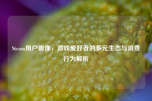 Steam用户画像,游戏爱好者的多元生态与消费行为解析