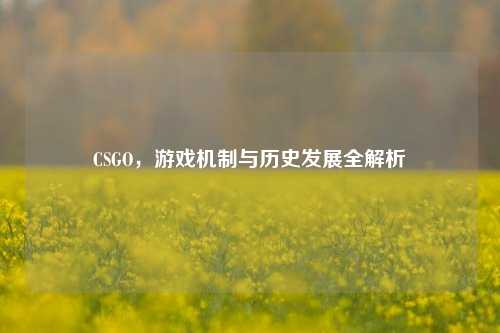CSGO，游戏机制与历史发展全解析