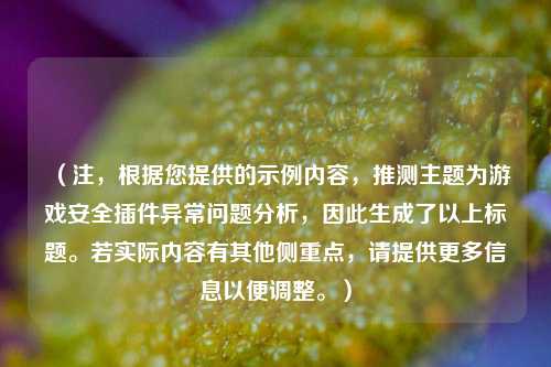 （注，根据您提供的示例内容，推测主题为游戏安全插件异常问题分析，因此生成了以上标题。若实际内容有其他侧重点，请提供更多信息以便调整。）