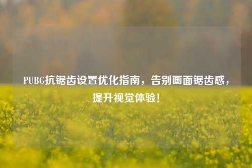 PUBG抗锯齿设置优化指南，告别画面锯齿感，提升视觉体验！
