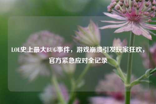 LOL史上更大BUG事件，游戏崩溃引发玩家狂欢，官方紧急应对全记录
