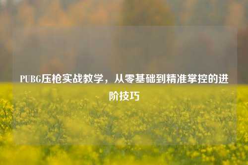 PUBG压枪实战教学，从零基础到精准掌控的进阶技巧