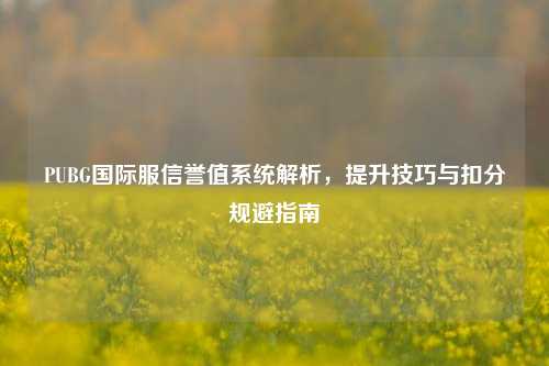 PUBG国际服信誉值系统解析，提升技巧与扣分规避指南