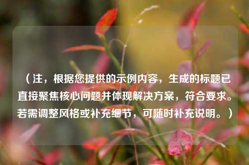（注，根据您提供的示例内容，生成的标题已直接聚焦核心问题并体现解决方案，符合要求。若需调整风格或补充细节，可随时补充说明。）