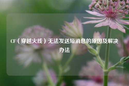 CF(穿越火线)无法发送短消息的原因及解决办法