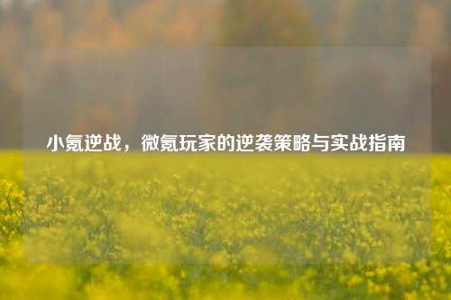 小氪逆战，微氪玩家的逆袭策略与实战指南