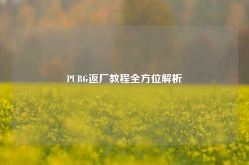 PUBG返厂教程全方位解析