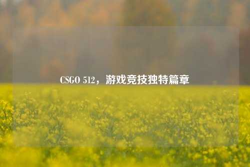 CSGO 512，游戏竞技独特篇章