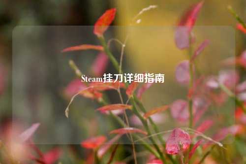 Steam挂刀详细指南