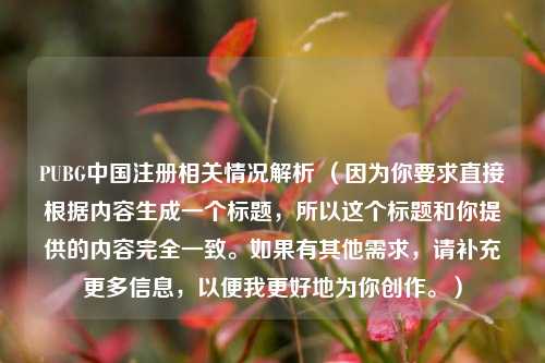PUBG中国注册相关情况解析 （因为你要求直接根据内容生成一个标题，所以这个标题和你提供的内容完全一致。如果有其他需求，请补充更多信息，以便我更好地为你创作。）