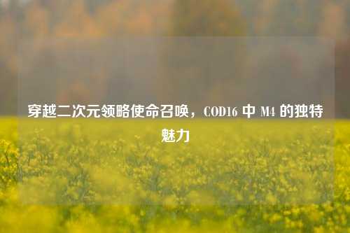 穿越二次元领略使命召唤，COD16 中 M4 的独特魅力