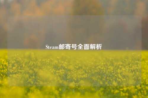 Steam邮寄号全面解析