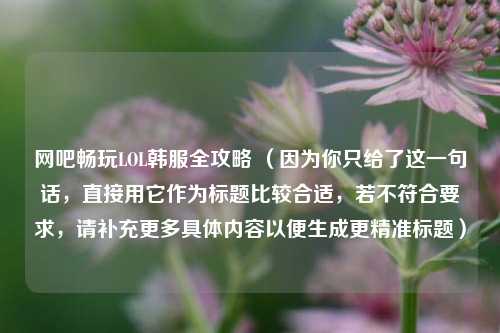 网吧畅玩LOL韩服全攻略 （因为你只给了这一句话，直接用它作为标题比较合适，若不符合要求，请补充更多具体内容以便生成更精准标题）