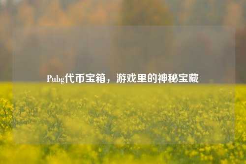 Pubg代币宝箱，游戏里的神秘宝藏