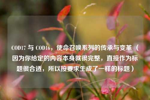 COD17 与 COD16，使命召唤系列的传承与变革 （因为你给定的内容本身就很完整，直接作为标题很合适，所以按要求生成了一样的标题）