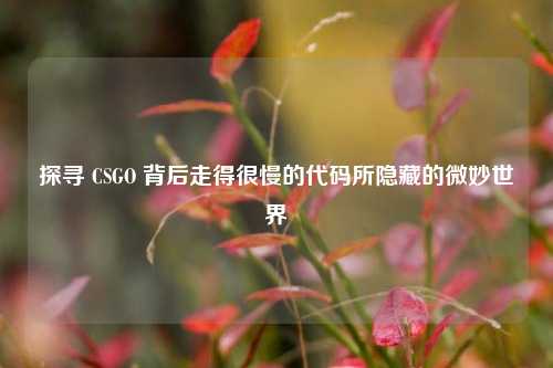探寻 CSGO 背后走得很慢的代码所隐藏的微妙世界