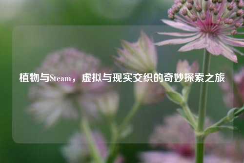 植物与Steam,虚拟与现实交织的奇妙探索之旅