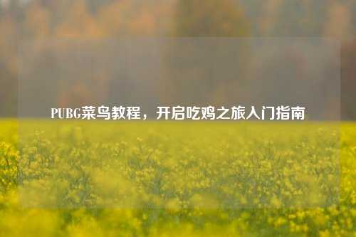 PUBG菜鸟教程,开启吃鸡之旅入门指南