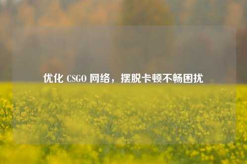 优化 CSGO  *** ，摆脱卡顿不畅困扰