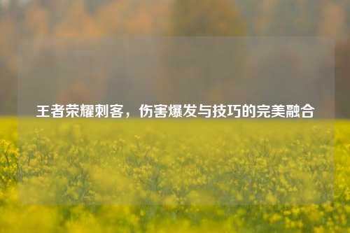 王者荣耀刺客,伤害爆发与技巧的完美融合